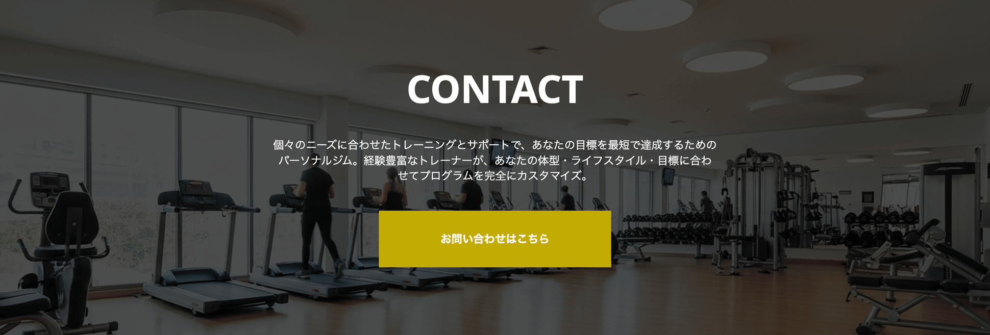 biz_gym_v1_contact